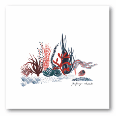 Illustration Ondulations Jane Doe
