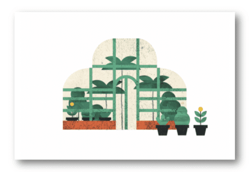 Serre plante vertes carte postale