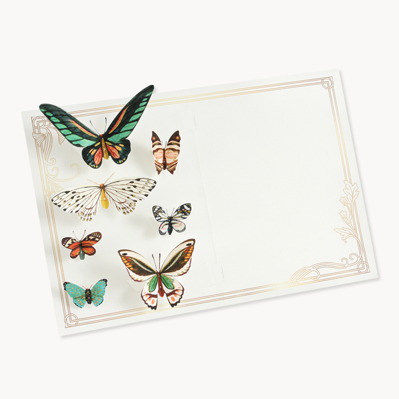 Papillon Monarque et Fleur Carte Pop Up – MapuMapu