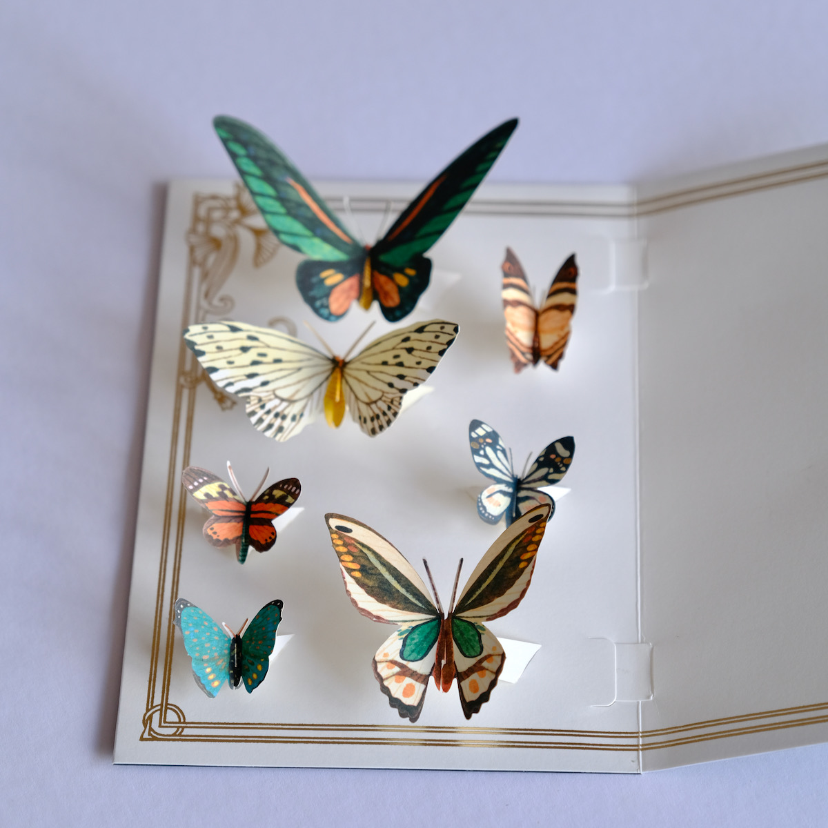 Carte Pop-Up Papillon – Bichette Créa