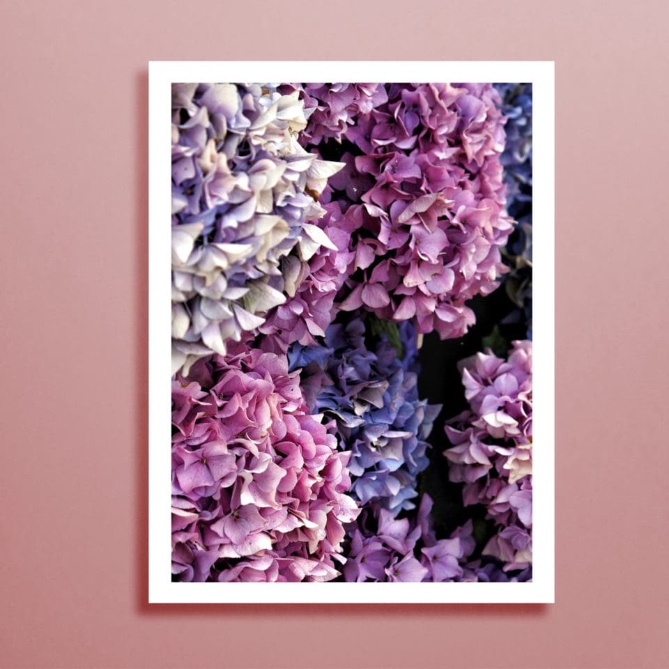 Petits Tirages Photographiques – Image 18