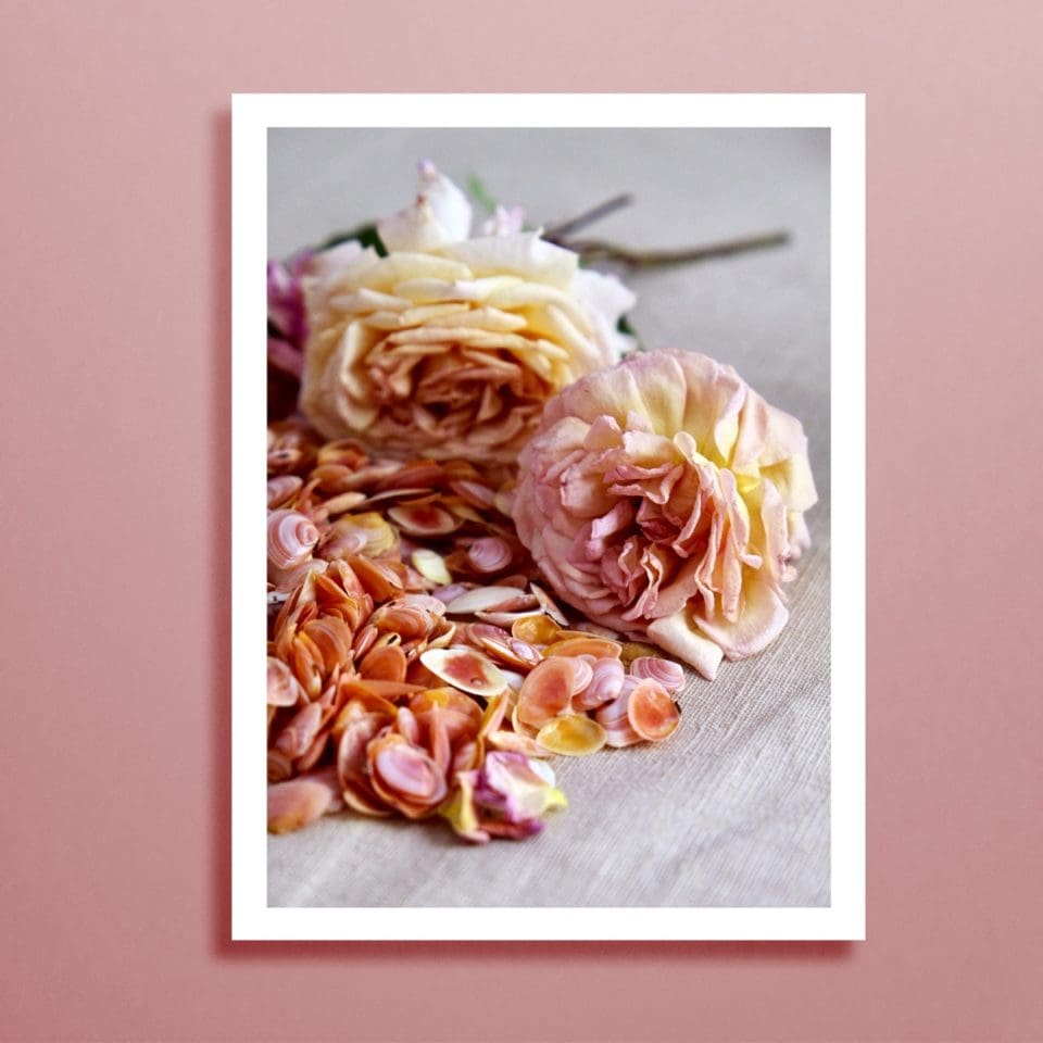 Petits Tirages Photographiques – Image 8