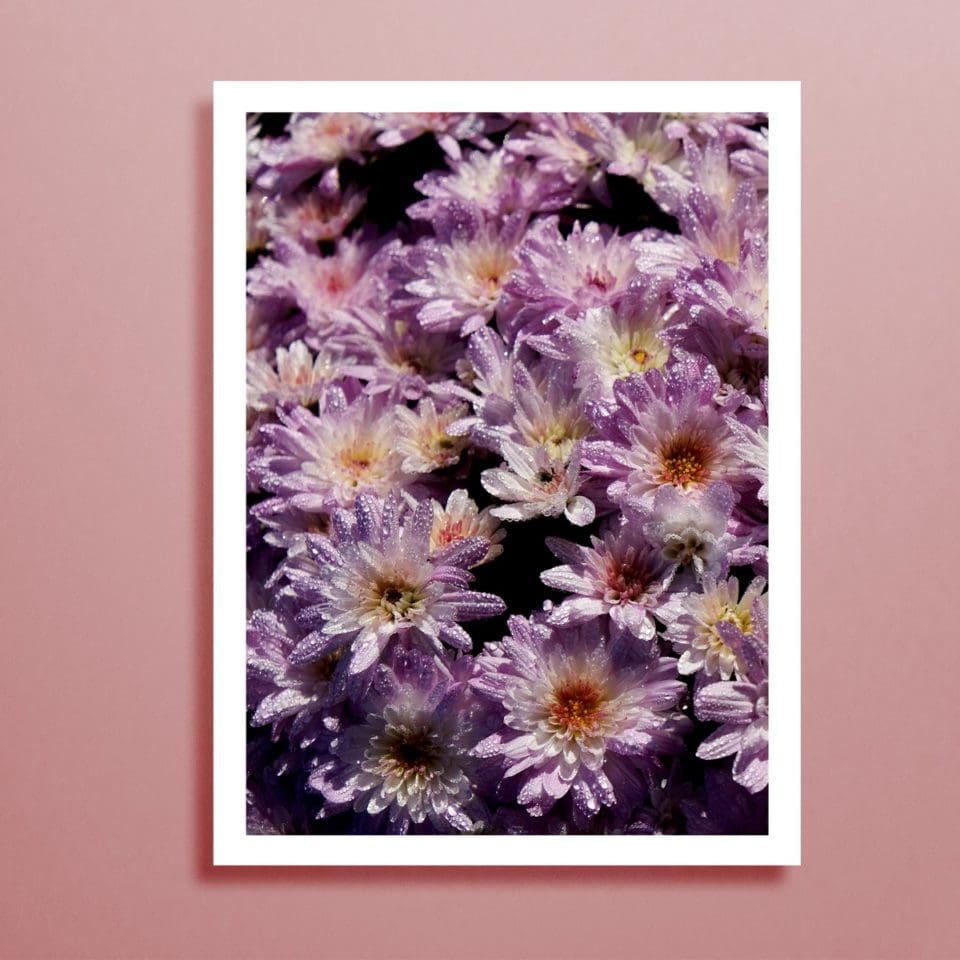 Petits Tirages Photographiques – Image 6
