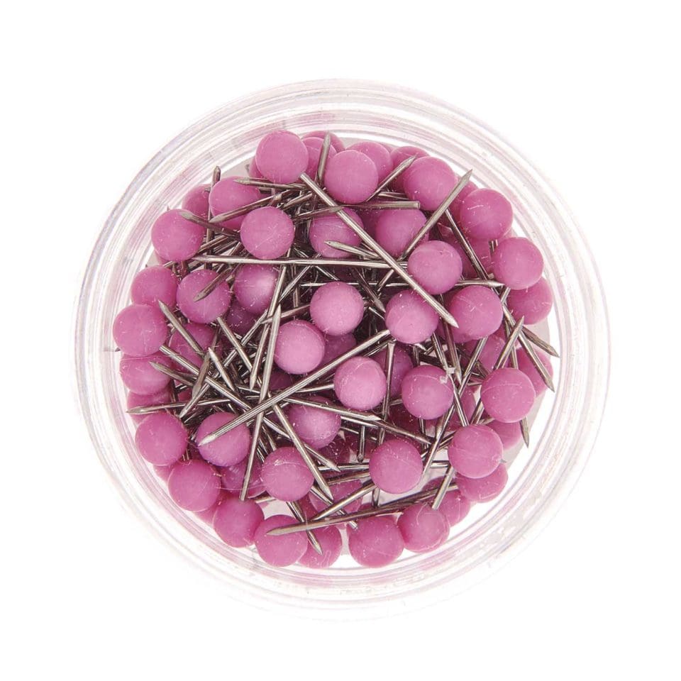 Punaises Mauves