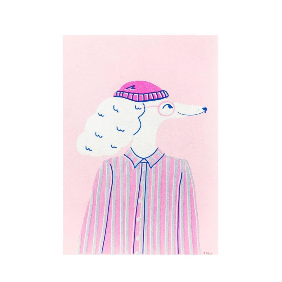 Illustration A5 Handsome Poodle