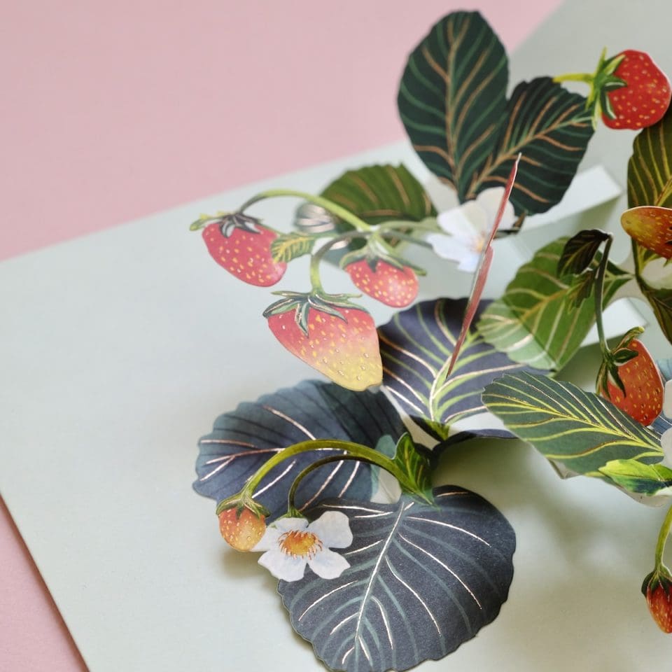 Carte pop-up Strawberry Birthday – Image 5