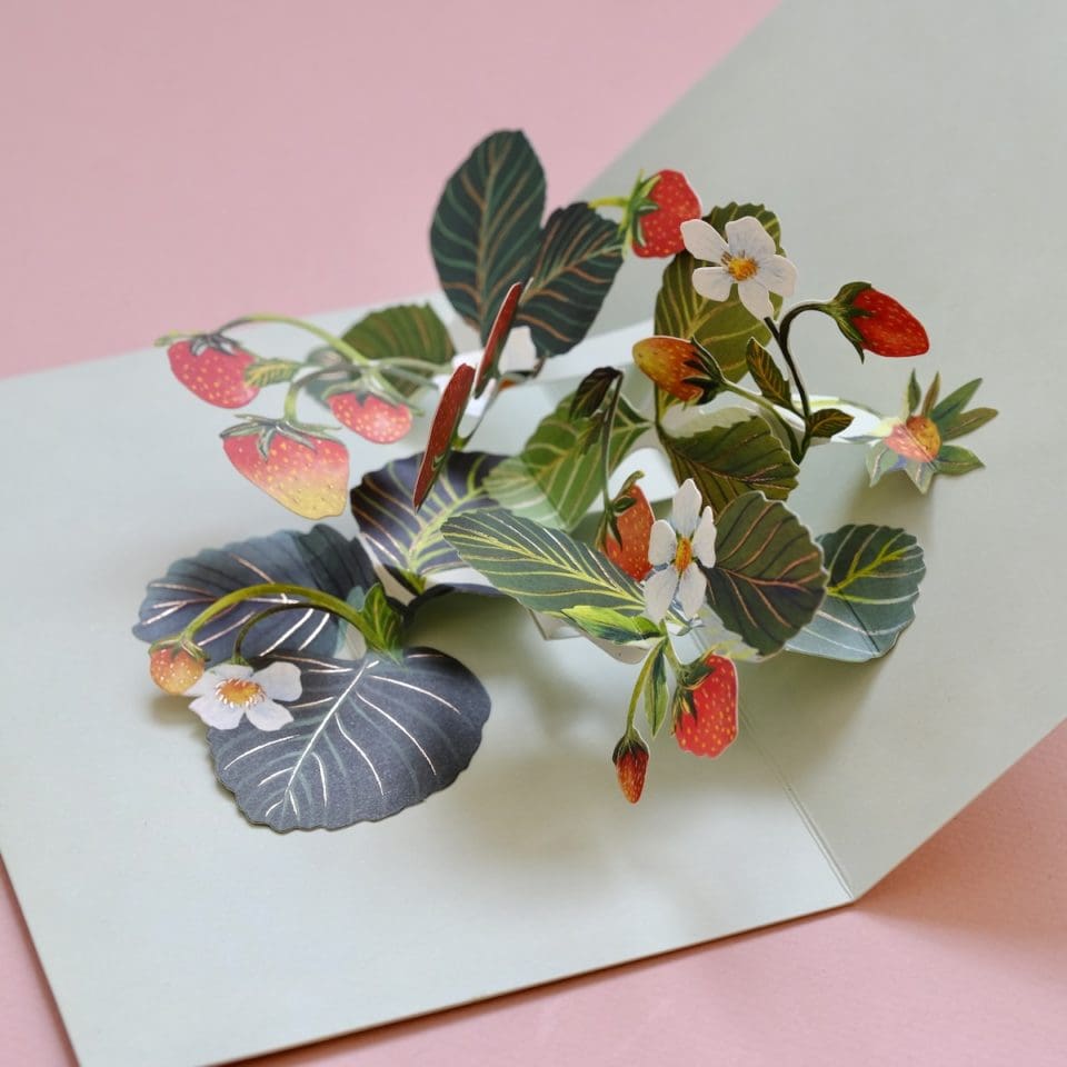 Carte pop-up Strawberry Birthday – Image 4