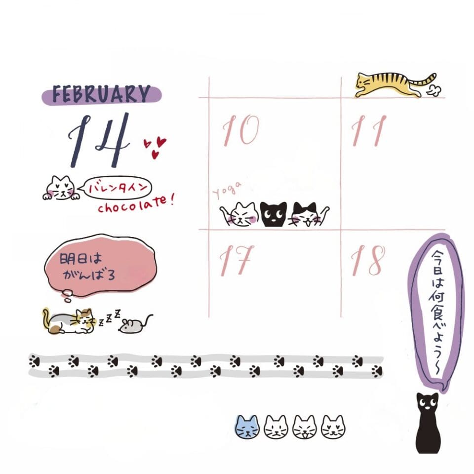 Tampon Multiple Chat – Image 4