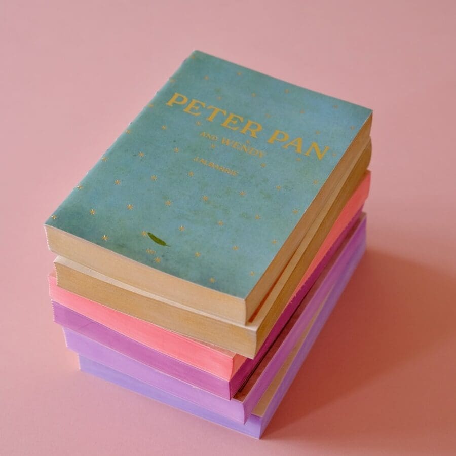 Carnet-Livre Peter Pan – Image 4