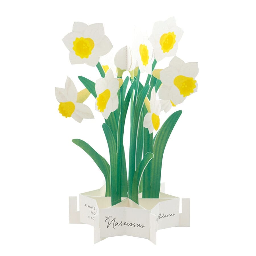 Carte Pop Up Jonquilles