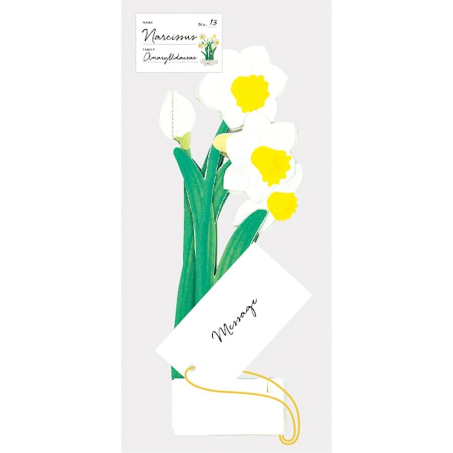 Carte Pop Up Jonquilles – Image 8
