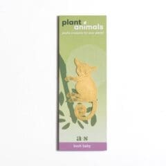 Bijou de Plante Bush Baby