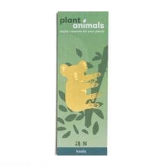 Bijou de Plante Koala