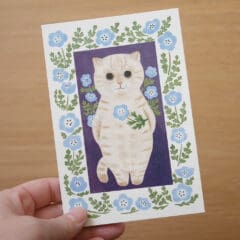 Carte Chat Crème aux Anémones