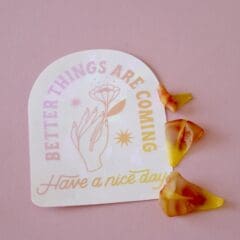 Sun Catcher / Rainbow Maker 