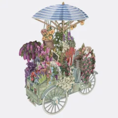 Carte Pop Up - Le Vélo du Marchand de Fleurs