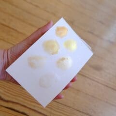 Palette Aquarelle Japonaise Dégradé d'Or