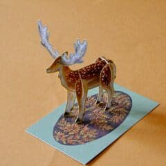 Carte Cerf à Construire
