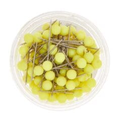 Punaises Jaunes Fluo