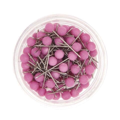 Punaises Mauves