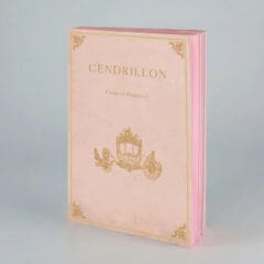 Carnet-Livre Cendrillon