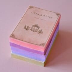 Carnet-Livre Cendrillon