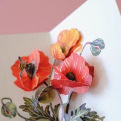 Carte pop-up Poppies