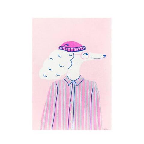 Illustration A5 Handsome Poodle
