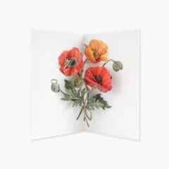 Carte pop-up Poppies