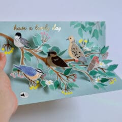 Carte Panoramique Oiseaux du Jardin
