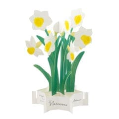 Carte Pop Up Jonquilles