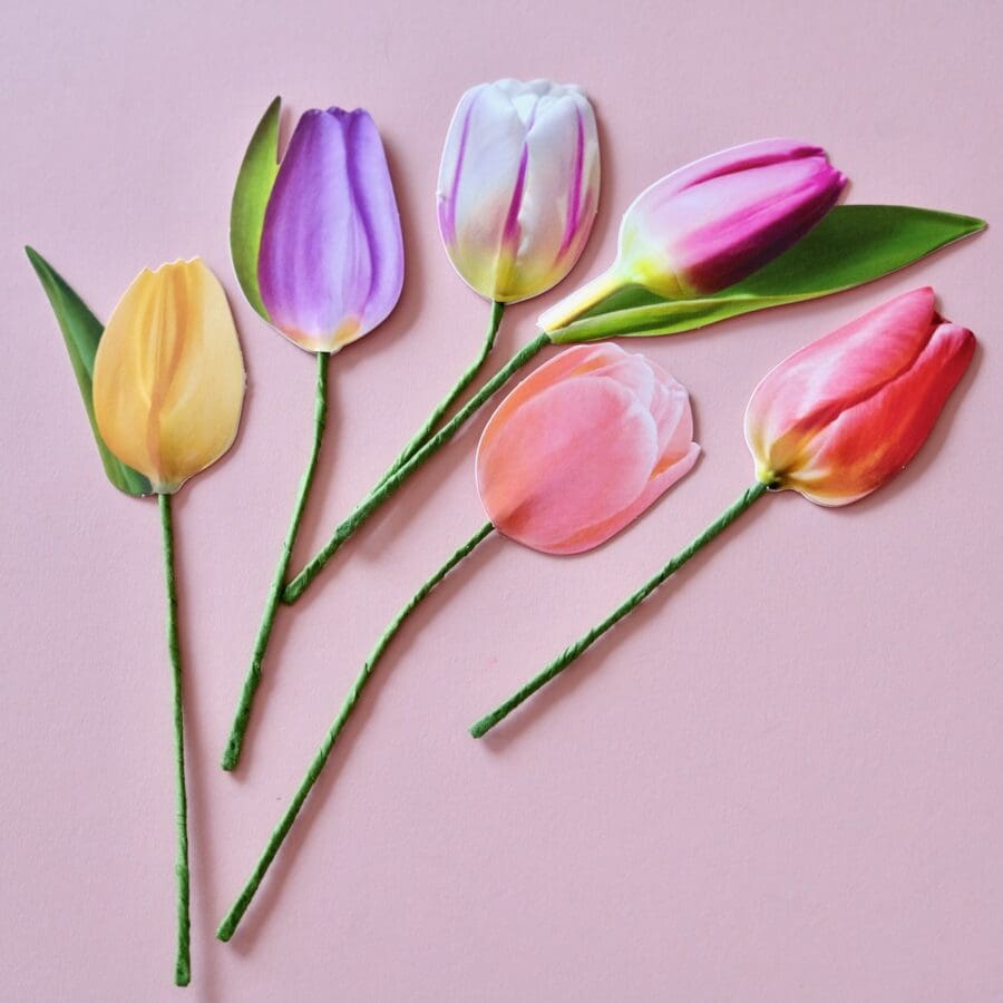 Carte Bouquet de Tulipes – Image 4