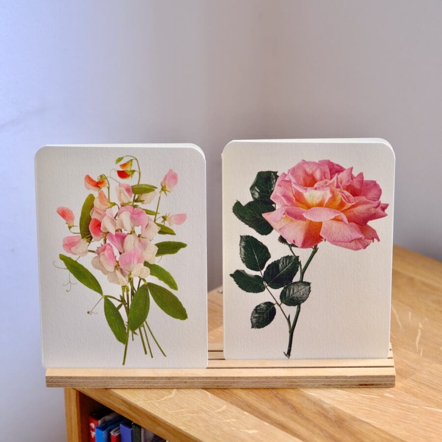 Carte de Voeux Rose Rose Crème – Image 7