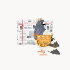 Mini Carte Pop Up - Pigeon Reporter