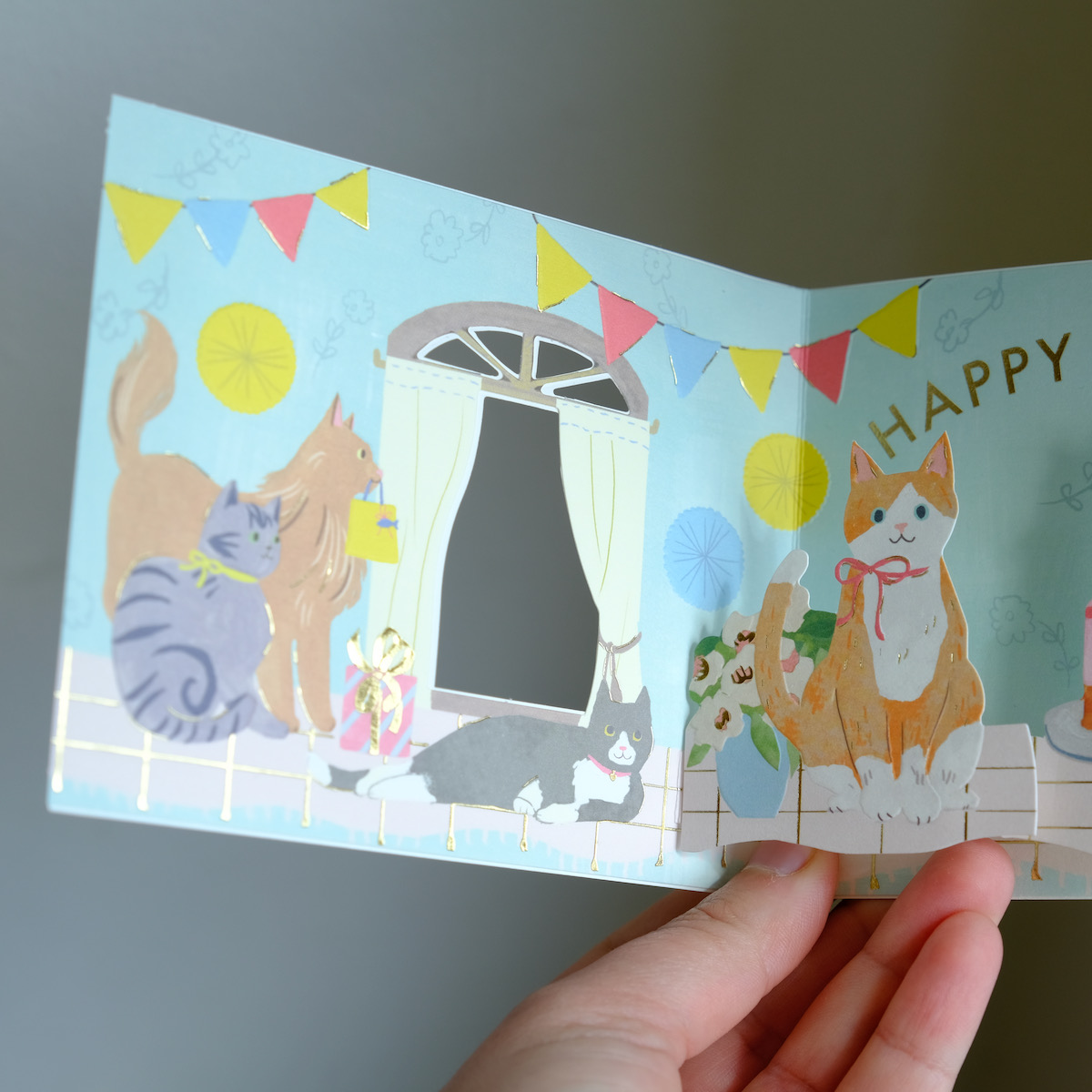 5 - 12 ou 14 cartes invitation anniversaire chat mignon réf 480