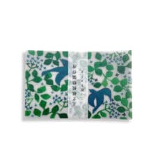 Set de Cartes Calque Message Bird