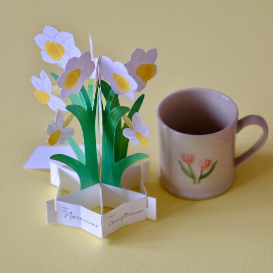 Carte Pop Up Jonquilles – Image 3
