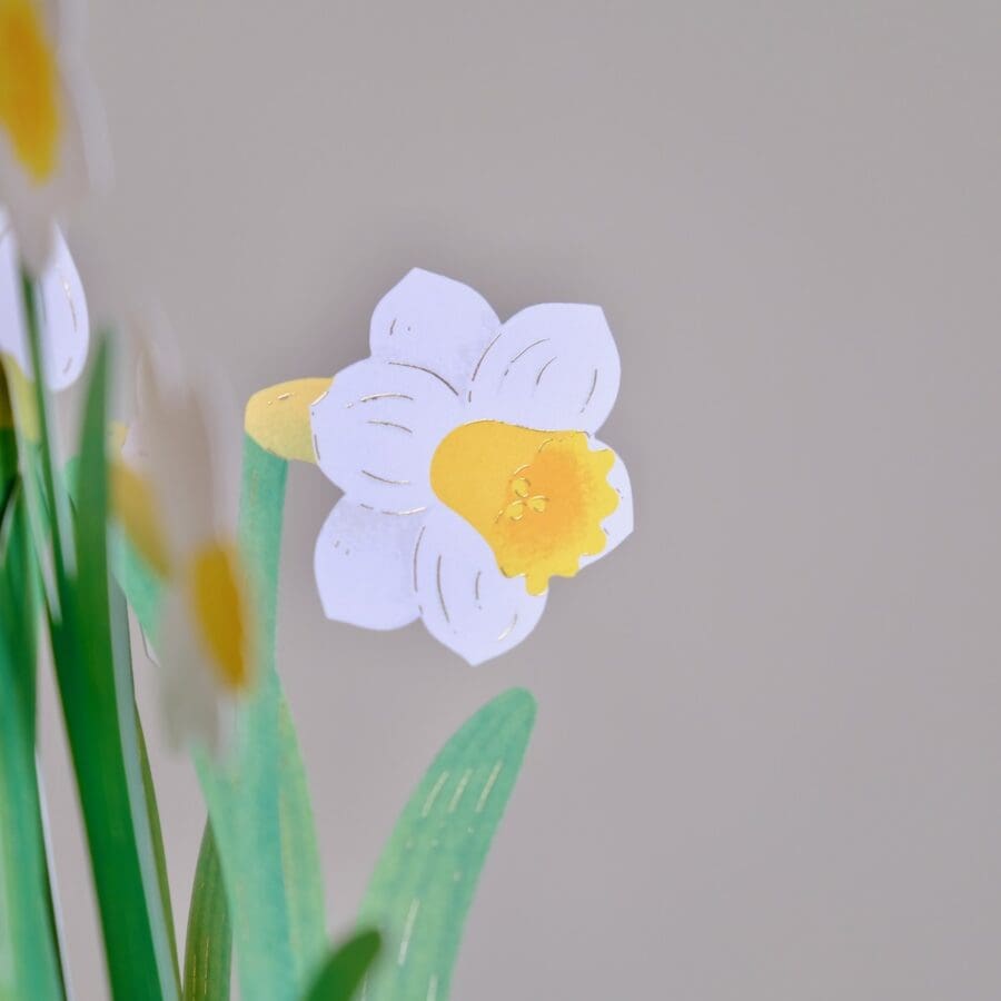 Carte Pop Up Jonquilles – Image 6