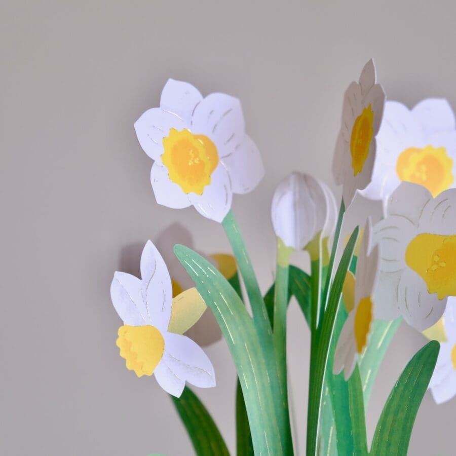 Carte Pop Up Jonquilles – Image 5