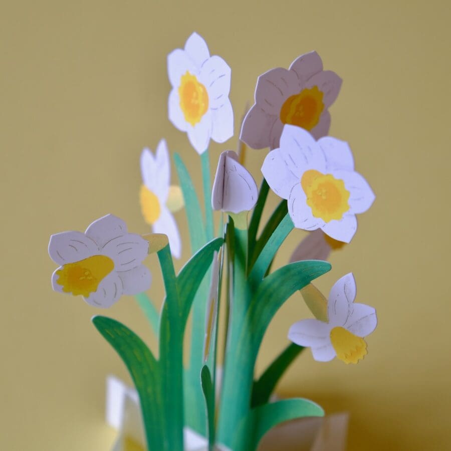 Carte Pop Up Jonquilles – Image 4