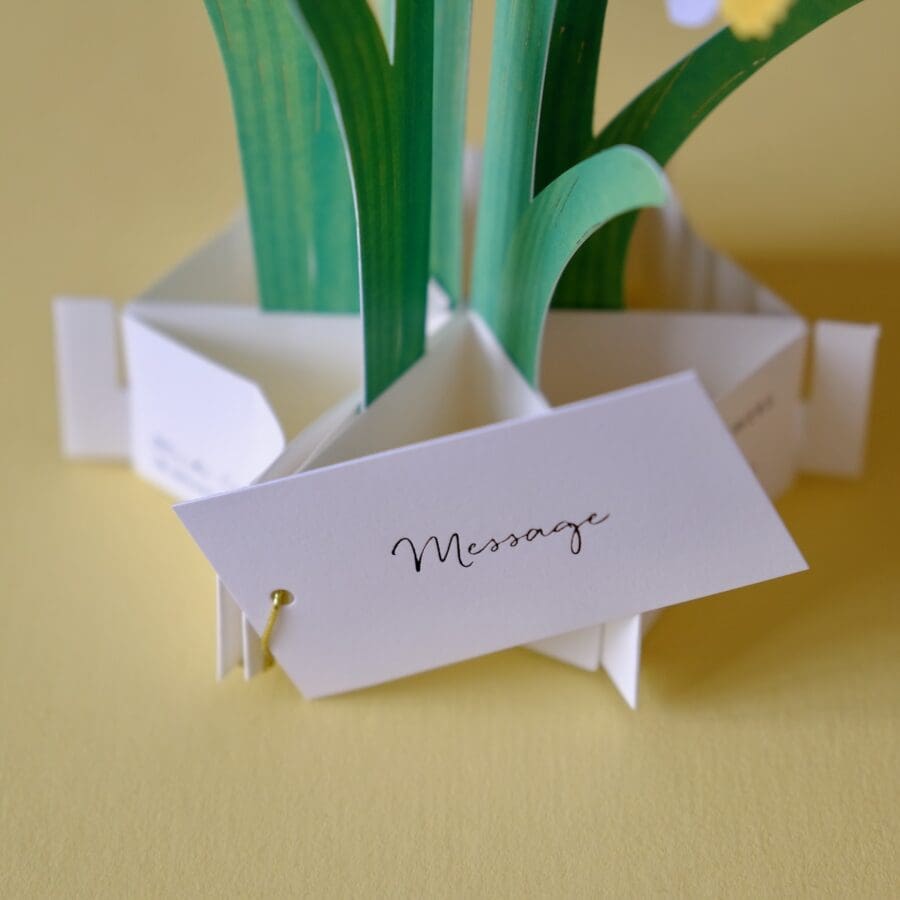 Carte Pop Up Jonquilles – Image 7