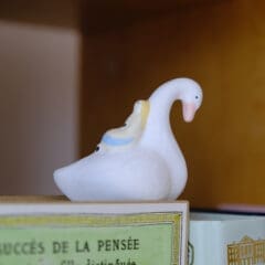 Décoration Alice et le Cygne Sauvage