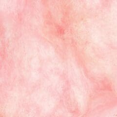 Barbapapa Flossie Fraise