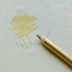 Crayon Jumbo Or