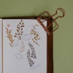 Masking Tape Plant Study