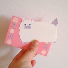 Mini Set de Correspondance Chat Blanc