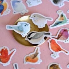 Stickers Box of Birds