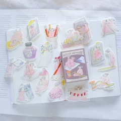 Stickers Boite d'Allumettes Dodolulu Secret Message