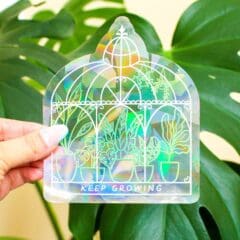 Sun Catcher / Rainbow Maker 