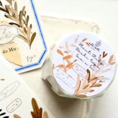 Masking Tape Plant Study